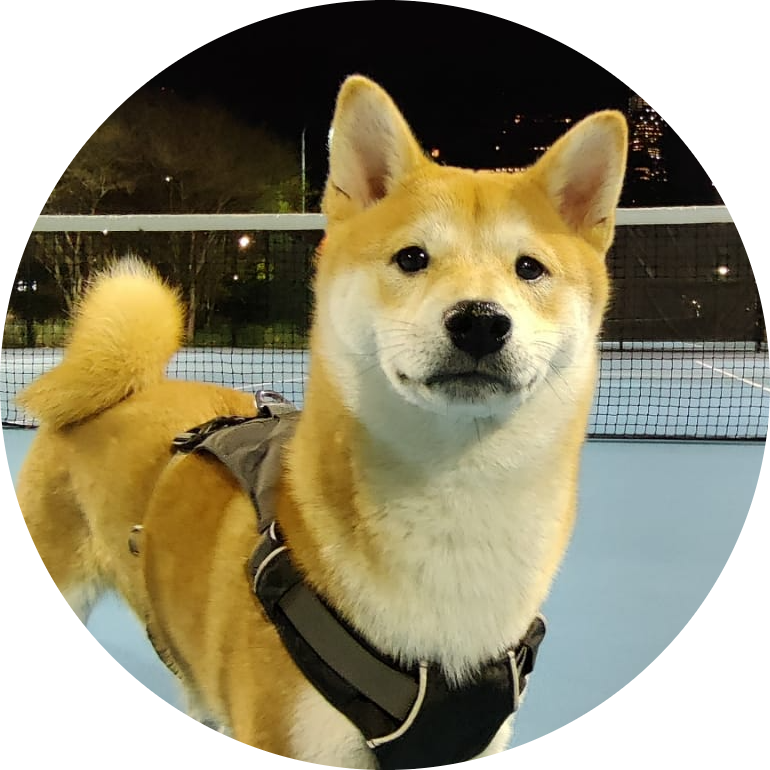 Yoshi-profile